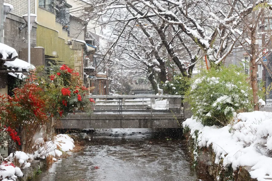 雪が積もった京都の冬の水辺